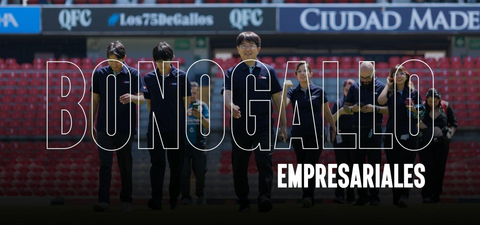 BonoGallo | Empresarial