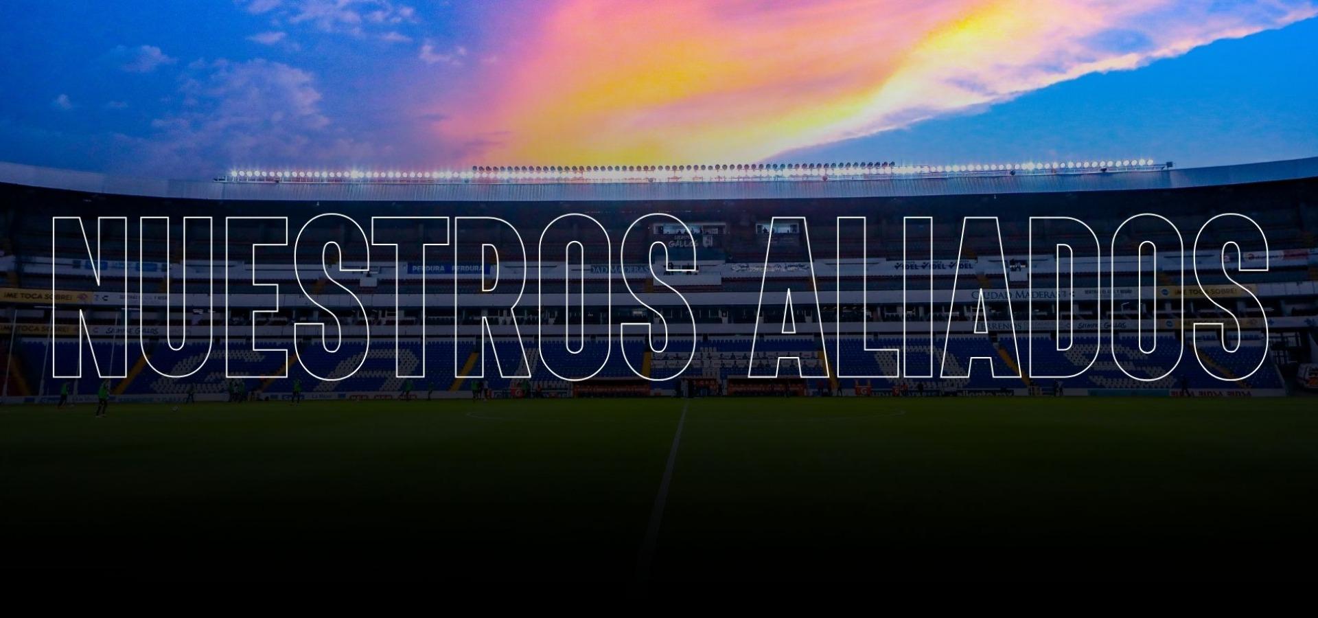 Socios | Nuestros aliados