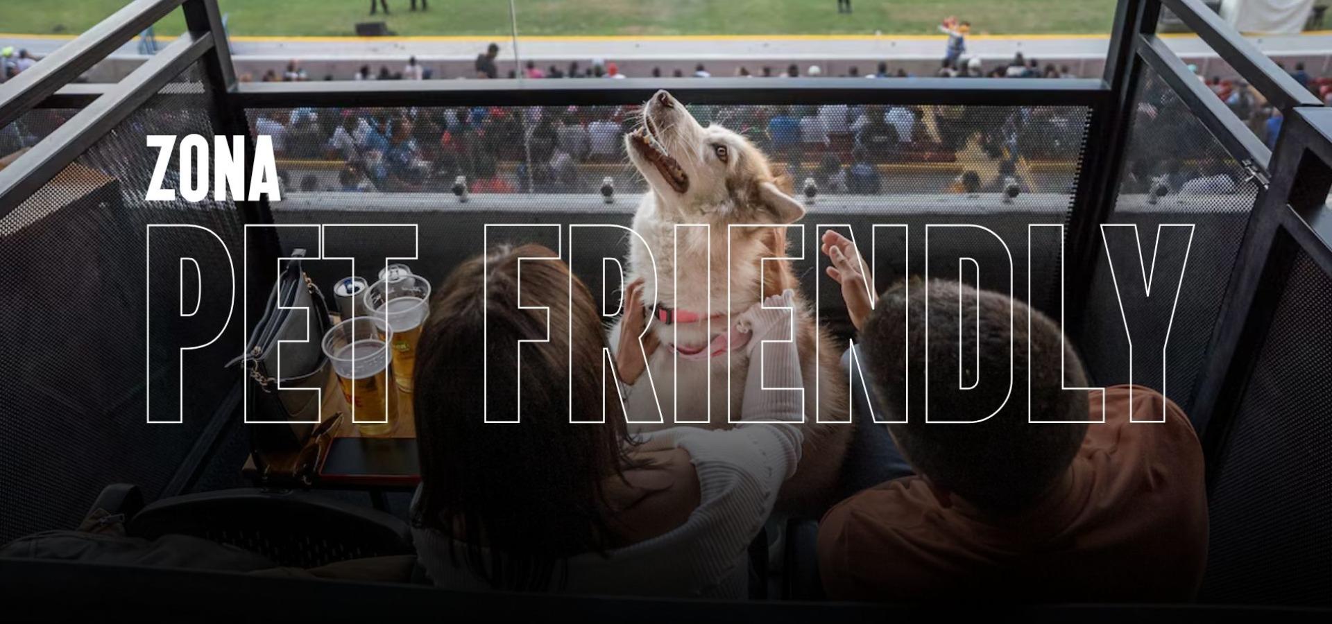 Boletaje | Zona Pet Friendly Pedigree