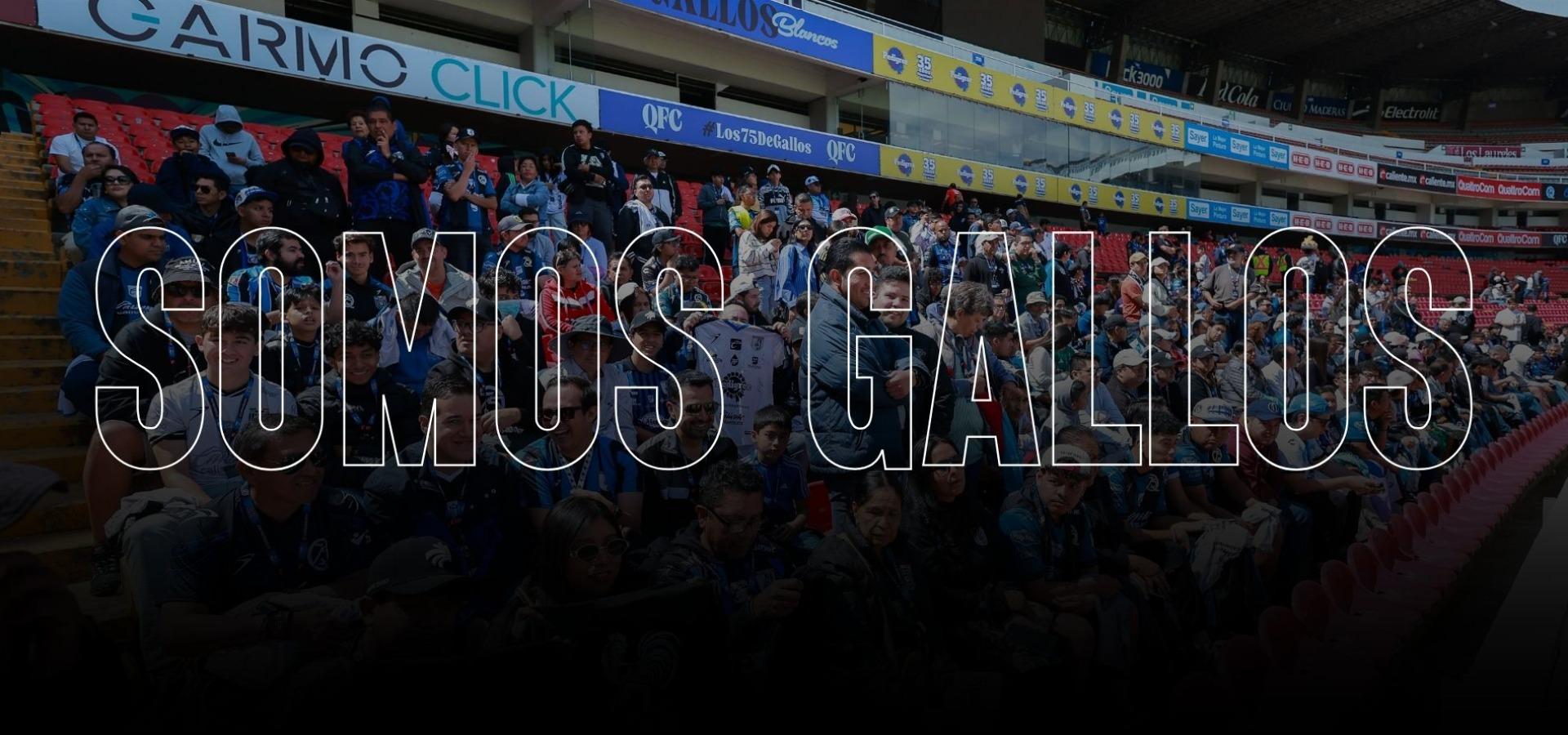Somos Gallos