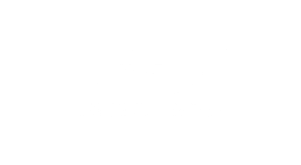 Skechers Skechers