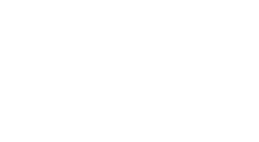 Fox Fox
