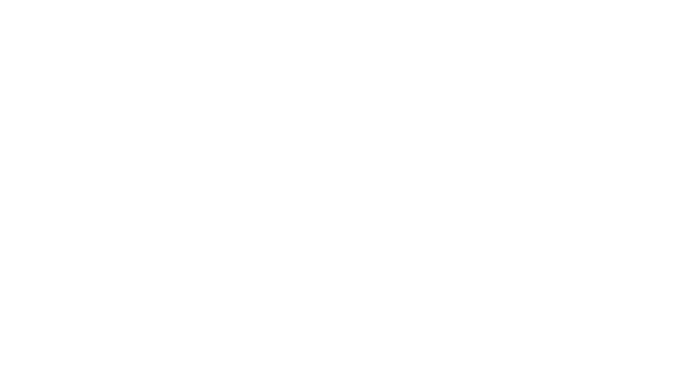 PolyMax PolyMax