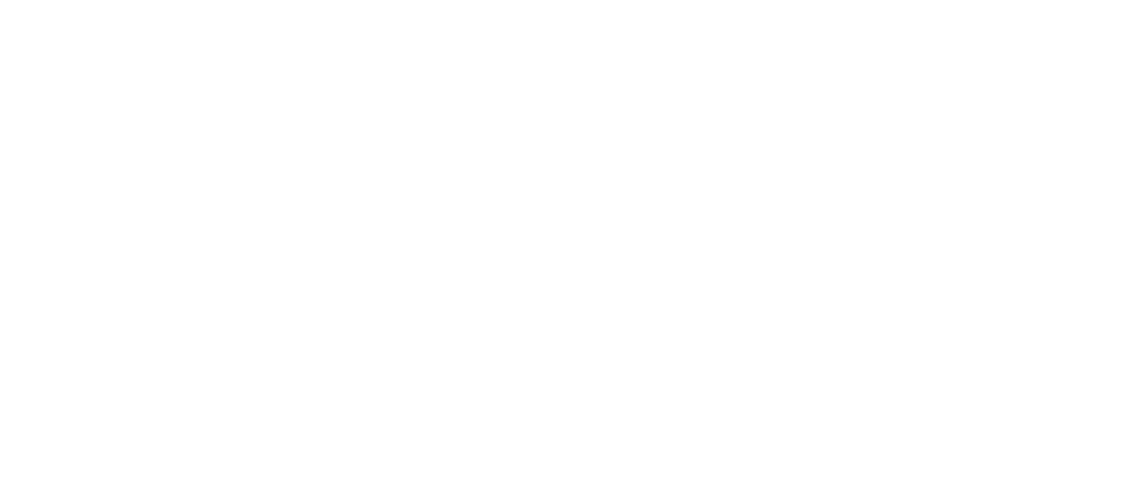 Primera Plus Primera Plus